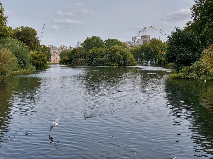 St James Park 3